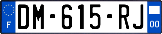 DM-615-RJ