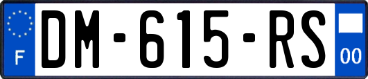 DM-615-RS
