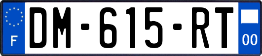 DM-615-RT