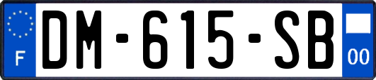 DM-615-SB
