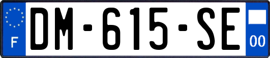 DM-615-SE