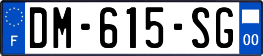 DM-615-SG