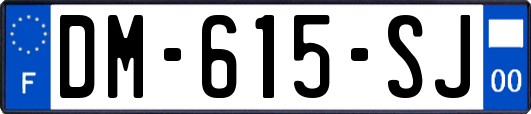 DM-615-SJ
