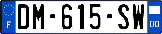 DM-615-SW