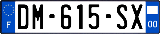 DM-615-SX