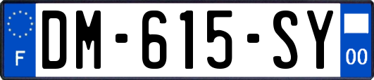 DM-615-SY