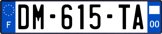 DM-615-TA