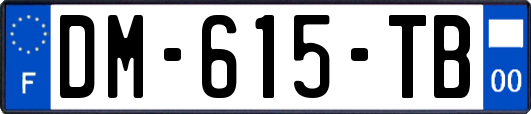 DM-615-TB