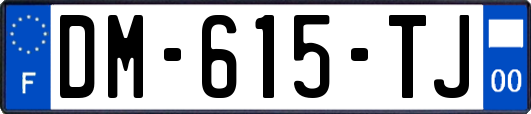 DM-615-TJ