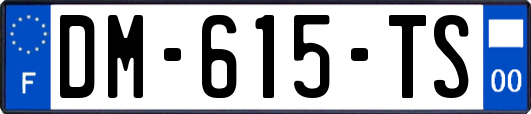 DM-615-TS