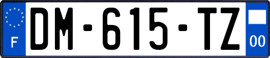 DM-615-TZ