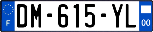 DM-615-YL