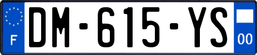 DM-615-YS