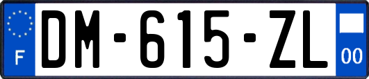 DM-615-ZL