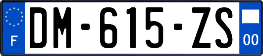 DM-615-ZS