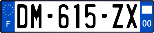 DM-615-ZX