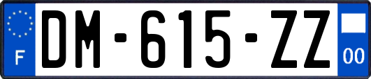 DM-615-ZZ