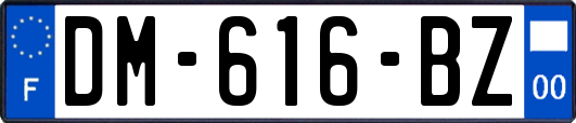 DM-616-BZ