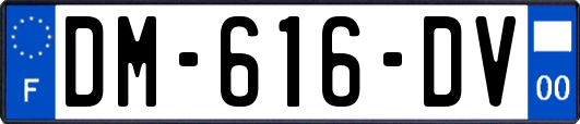 DM-616-DV