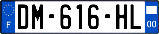 DM-616-HL