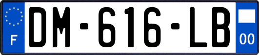DM-616-LB
