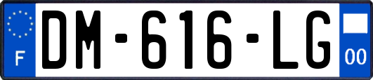 DM-616-LG