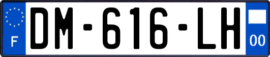DM-616-LH