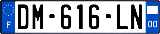 DM-616-LN
