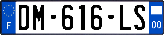 DM-616-LS