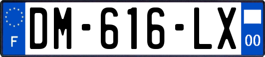 DM-616-LX