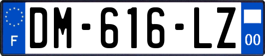 DM-616-LZ
