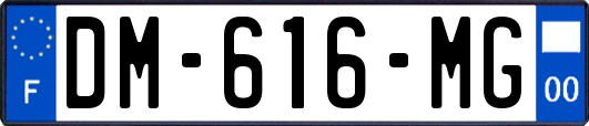 DM-616-MG