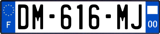 DM-616-MJ