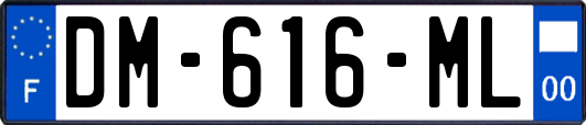 DM-616-ML
