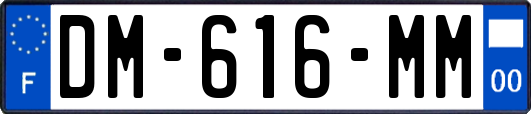 DM-616-MM