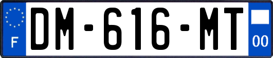 DM-616-MT