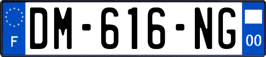 DM-616-NG