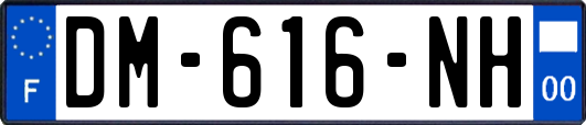 DM-616-NH