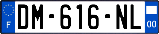 DM-616-NL