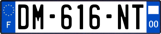 DM-616-NT