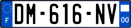 DM-616-NV