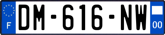 DM-616-NW