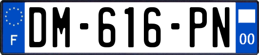 DM-616-PN