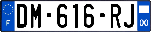 DM-616-RJ