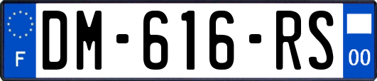 DM-616-RS
