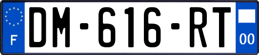 DM-616-RT