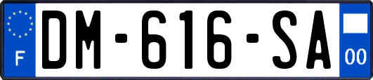 DM-616-SA