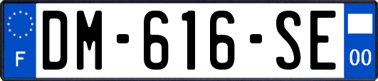 DM-616-SE