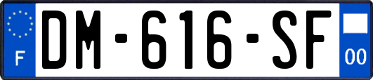 DM-616-SF