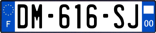 DM-616-SJ